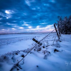 Pink Sunrise in winter Hi Res   
